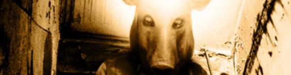 Asylum: The strory of the strange Butcher
