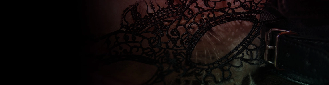 Chamber of Sins