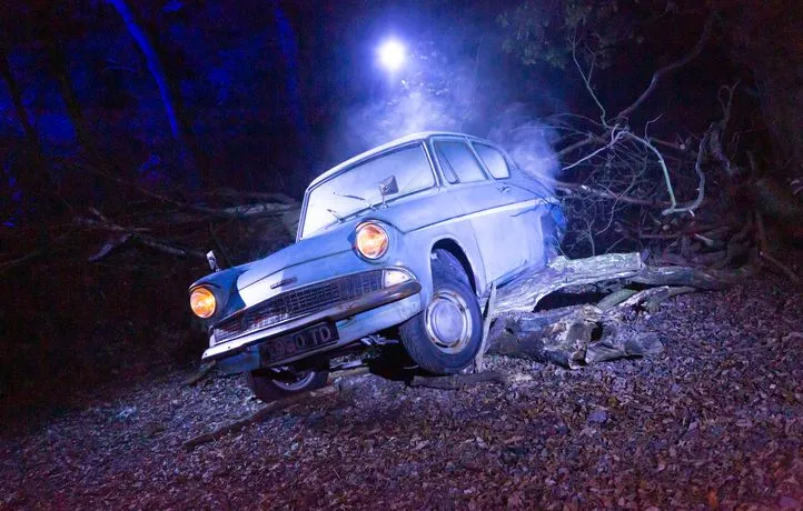 Harry Potter : L'Expérience En Forêt Interdite à Montauban