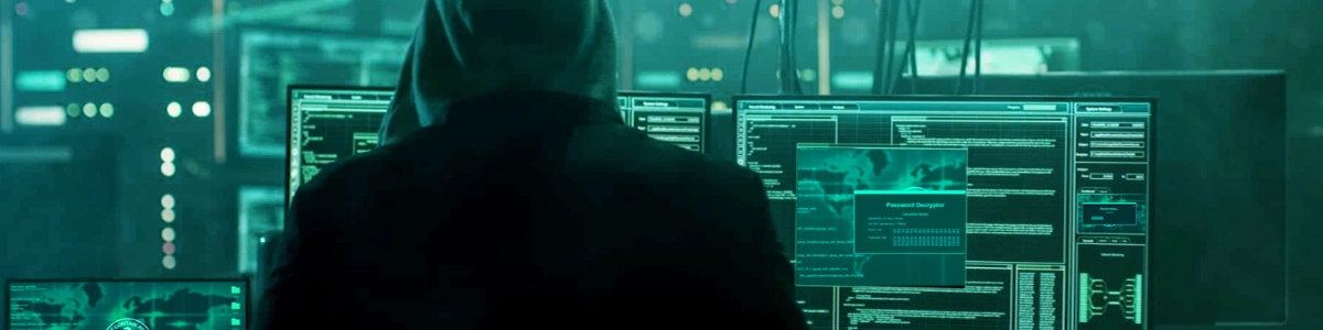 green-experience.md