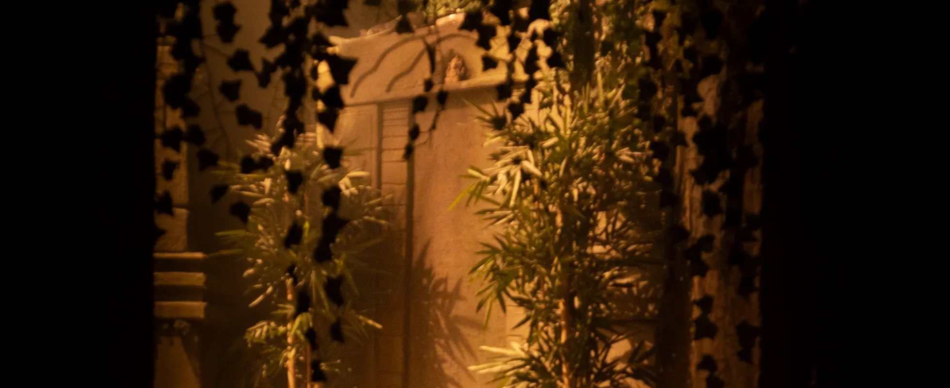 saison-1-episode-1-jungle.md