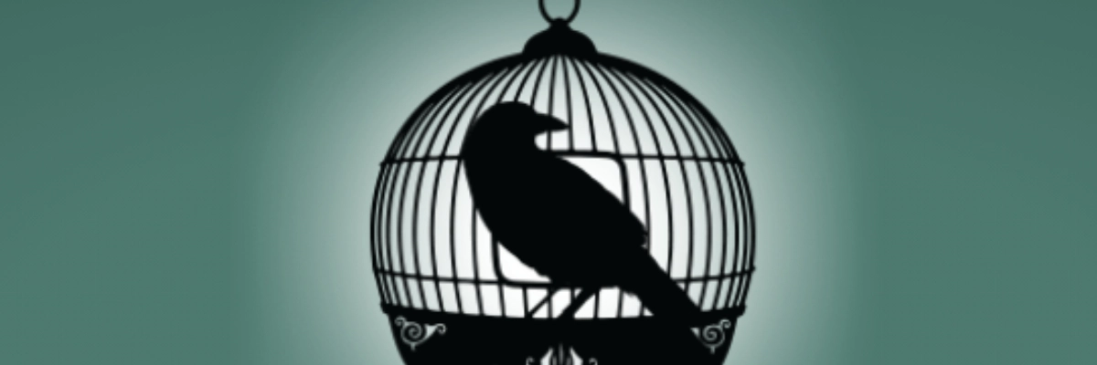 la-cage-aux-reves_La_Grande_Evasion_Chambéry.md