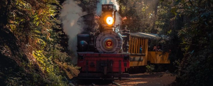 PLM Express