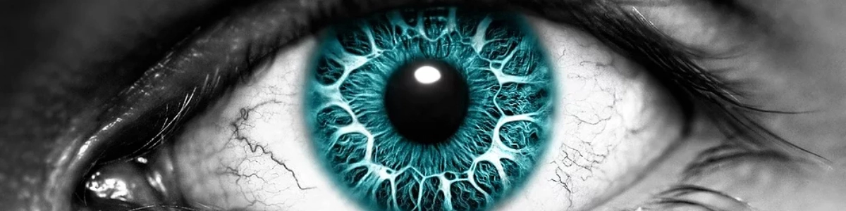 ocularis.md