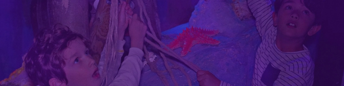 Pandore Kids : Gardiens des Contes