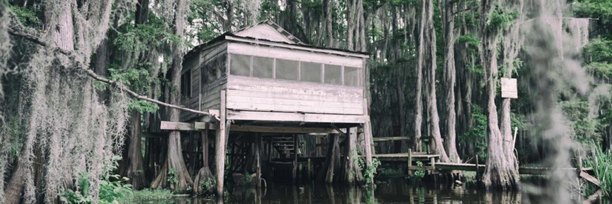 swamp-house.md