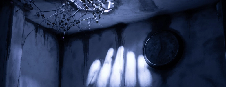 The Asylum