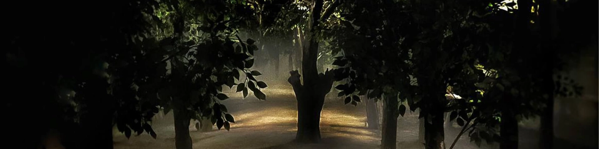the-dark-forest.md