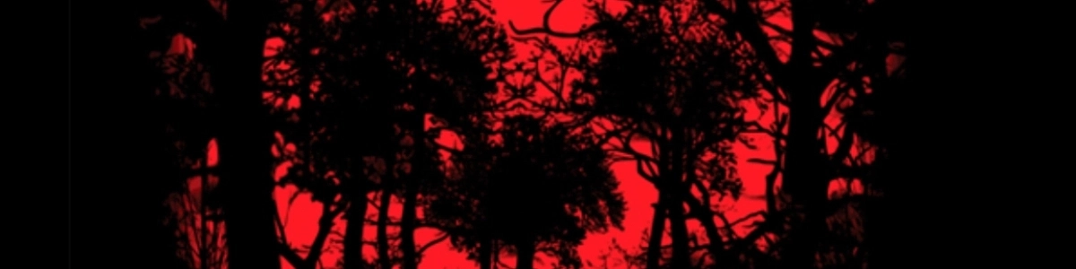 Until Dawn