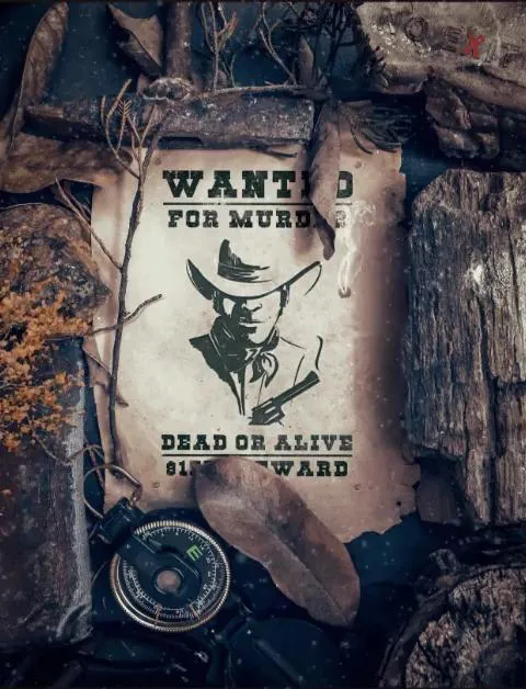 wanted_dead_or_alive.md