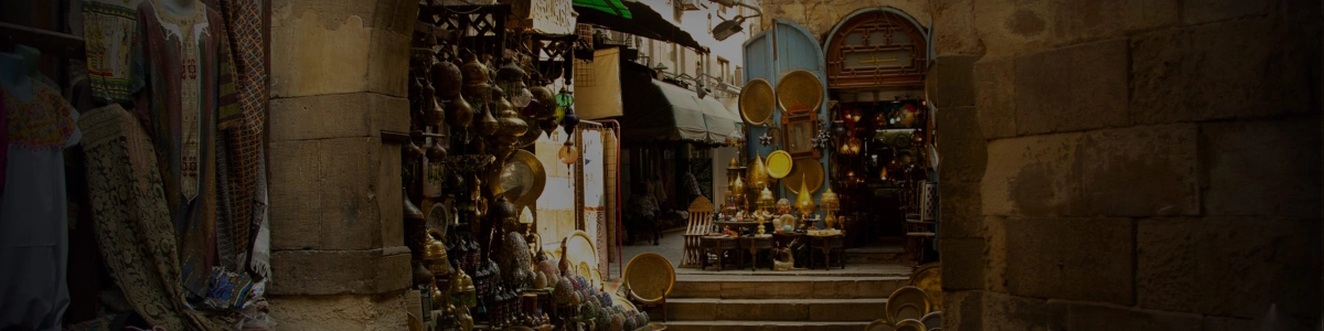 zoltar-speaks.md