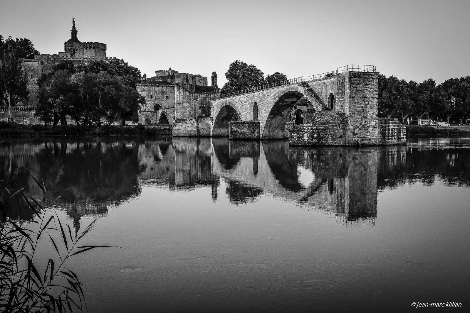 Avignon