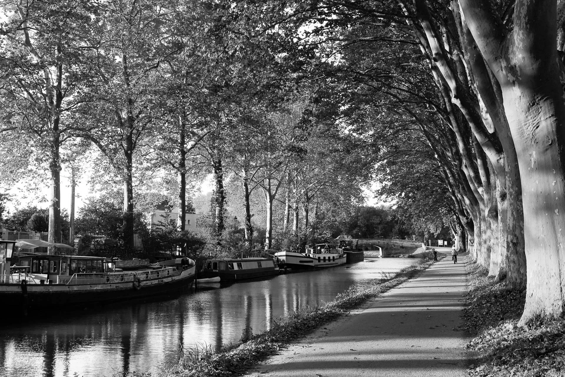 Toulouse