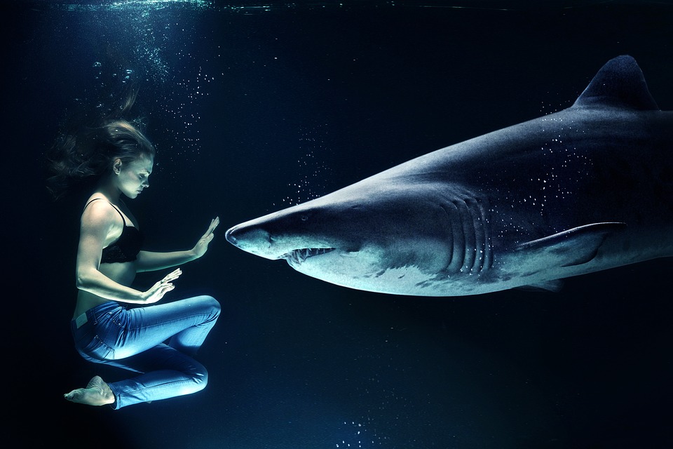 immersion-le-meilleur-escape-game