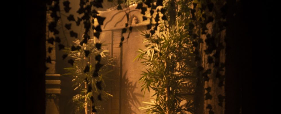 jungle-gg-escapegame
