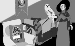 Harry-reliques-perpignan-escape-game