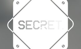 mission-secrete-the-game